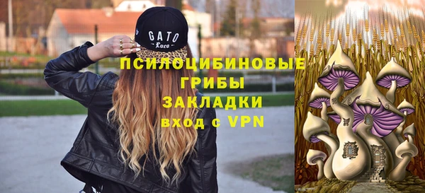 стафф Киренск